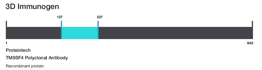 TM9SF4 Polyclonal Antibody