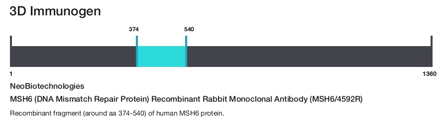 MSH6 (DNA Mismatch Repair Protein) Recombinant Rabbit Monoclonal Antibody (MSH6/4592R)