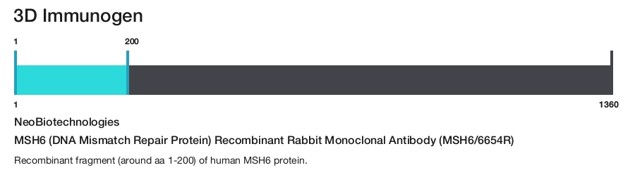 MSH6 (DNA Mismatch Repair Protein) Recombinant Rabbit Monoclonal Antibody (MSH6/6654R)
