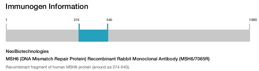 MSH6 (DNA Mismatch Repair Protein) Recombinant Rabbit Monoclonal Antibody (MSH6/7065R)