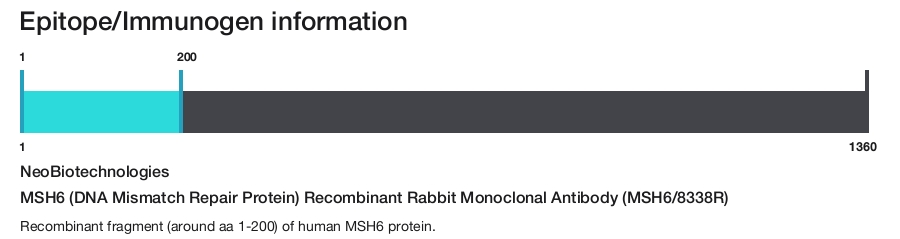 MSH6 (DNA Mismatch Repair Protein) Recombinant Rabbit Monoclonal Antibody (MSH6/8338R)