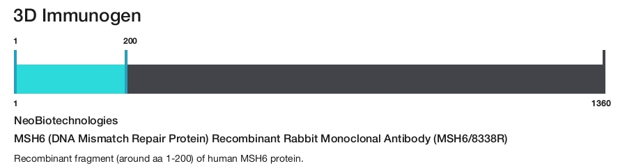 MSH6 (DNA Mismatch Repair Protein) Recombinant Rabbit Monoclonal Antibody (MSH6/8338R)