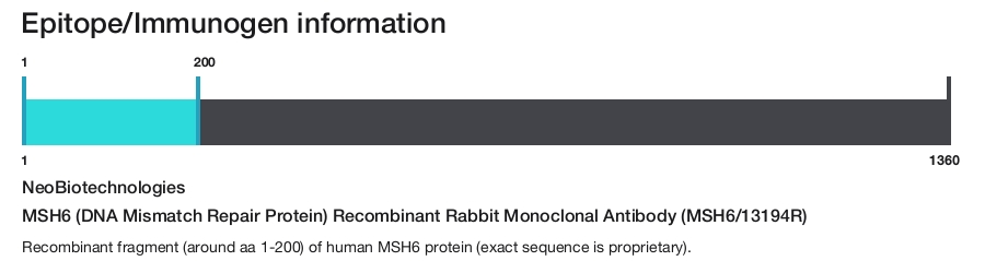 MSH6 (DNA Mismatch Repair Protein) Recombinant Rabbit Monoclonal Antibody (MSH6/13194R)
