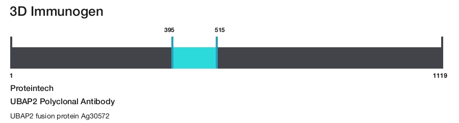 UBAP2 Polyclonal Antibody