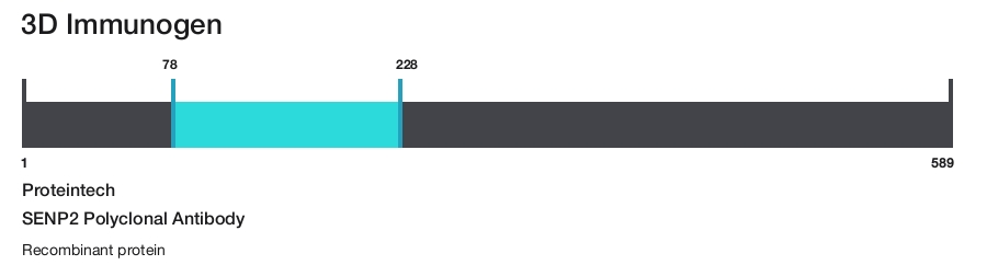 SENP2 Polyclonal Antibody