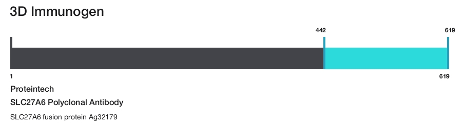 SLC27A6 Polyclonal Antibody