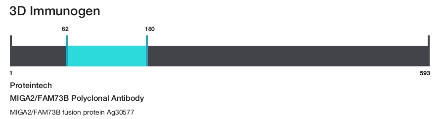 MIGA2/FAM73B Polyclonal Antibody