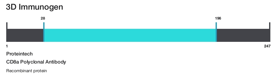 CD8a Polyclonal Antibody