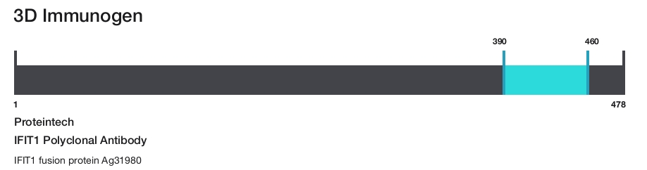IFIT1 Polyclonal Antibody