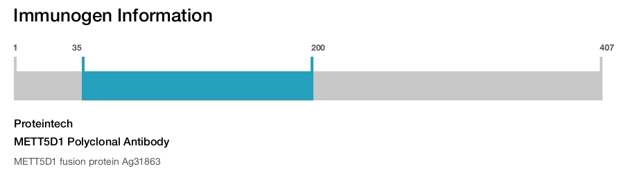 METT5D1 Polyclonal Antibody