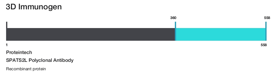 SPATS2L Polyclonal Antibody