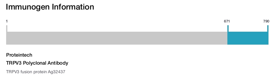 TRPV3 Polyclonal Antibody