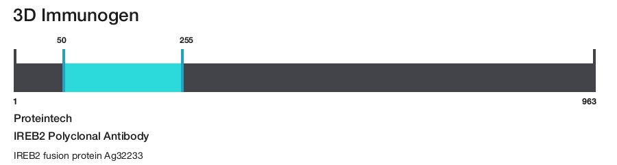 IREB2 Polyclonal Antibody