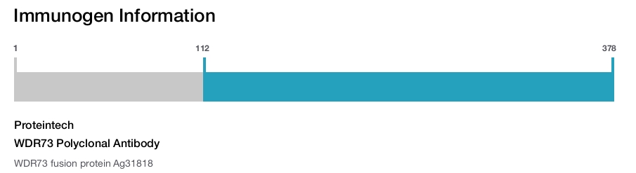 WDR73 Polyclonal Antibody