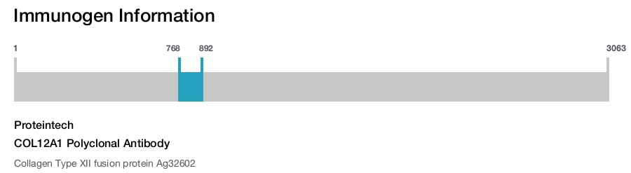 COL12A1 Polyclonal Antibody