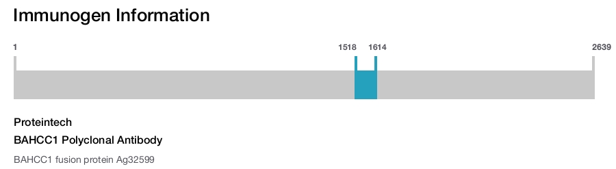 BAHCC1 Polyclonal Antibody
