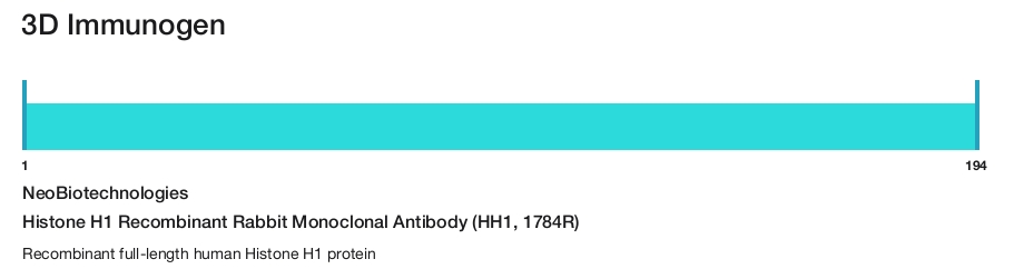 Histone H1 Recombinant Rabbit Monoclonal Antibody (HH1, 1784R)