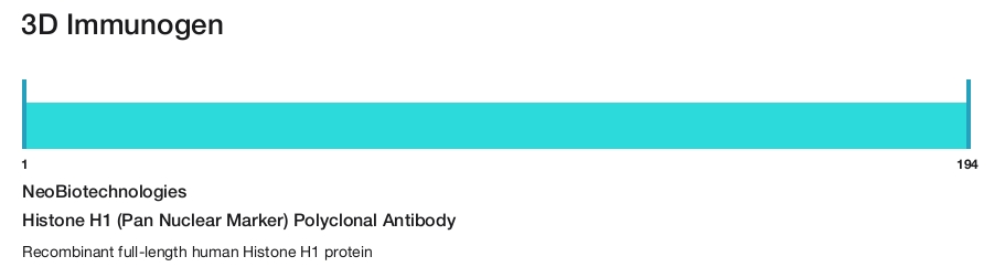 Histone H1 (Pan Nuclear Marker) Polyclonal Antibody