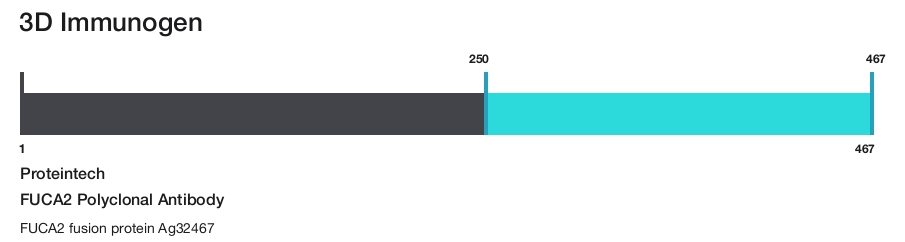 FUCA2 Polyclonal Antibody
