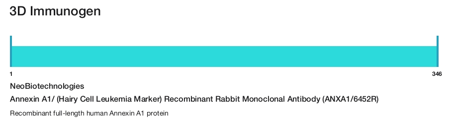 Annexin A1/ (Hairy Cell Leukemia Marker) Recombinant Rabbit Monoclonal Antibody (ANXA1/6452R)