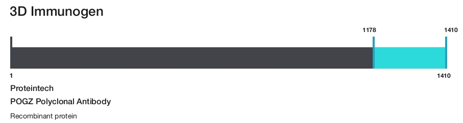 POGZ Polyclonal Antibody