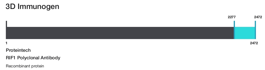 RIF1 Polyclonal Antibody