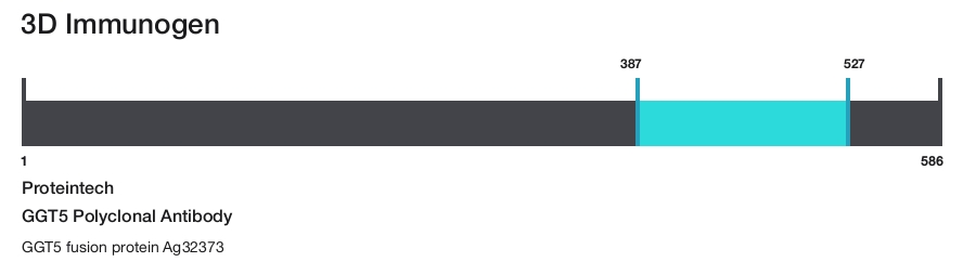 GGT5 Polyclonal Antibody