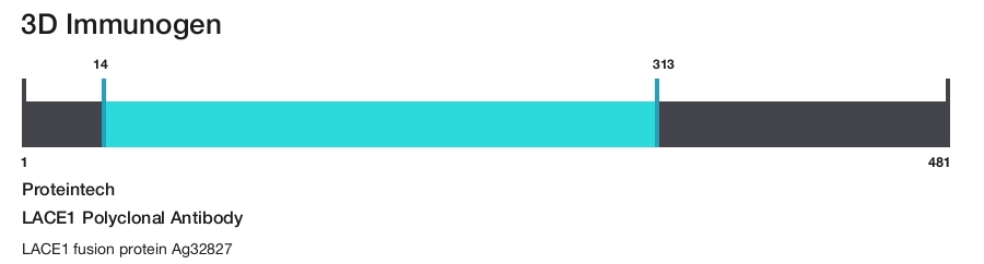 LACE1 Polyclonal Antibody