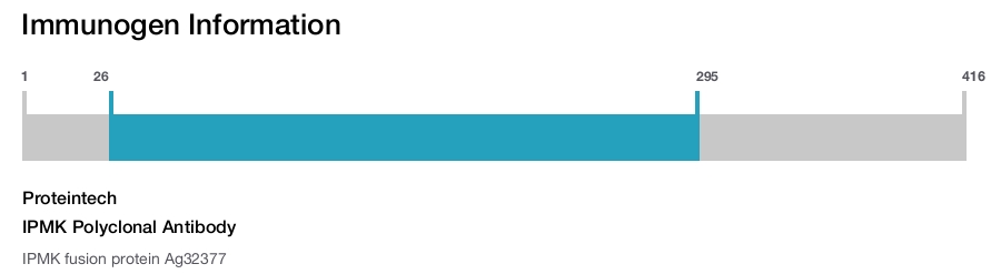 IPMK Polyclonal Antibody