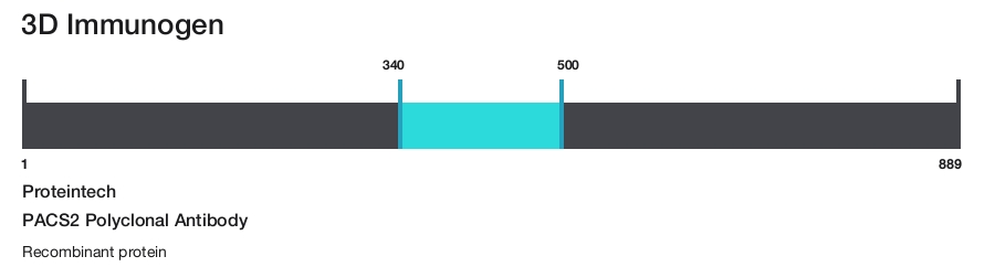 PACS2 Polyclonal Antibody