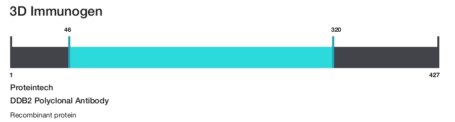 DDB2 Polyclonal Antibody