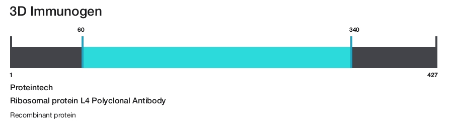 Ribosomal protein L4 Polyclonal Antibody