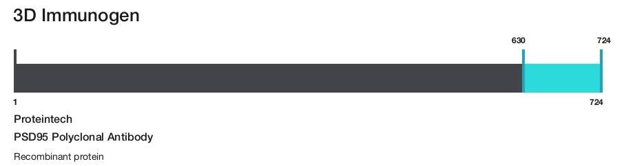 PSD95 Polyclonal Antibody