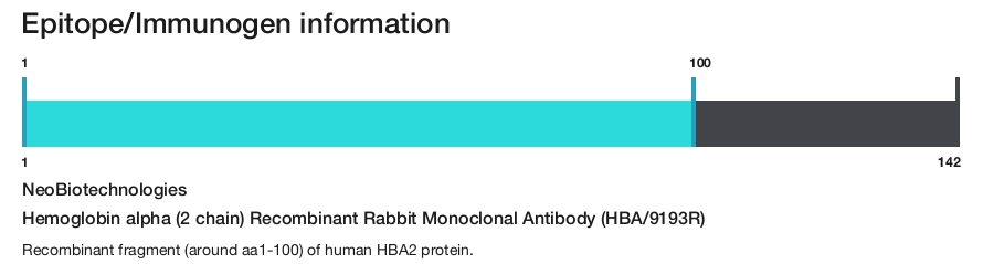 Hemoglobin alpha (2 chain) Recombinant Rabbit Monoclonal Antibody (HBA/9193R)