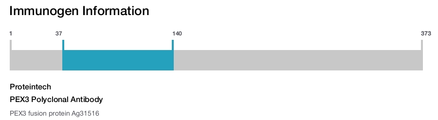 PEX3 Polyclonal Antibody