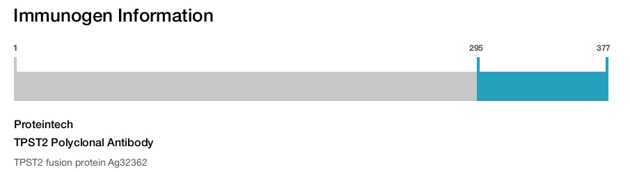 TPST2 Polyclonal Antibody