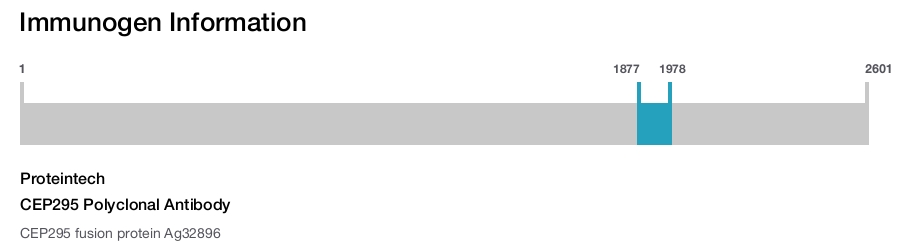 CEP295 Polyclonal Antibody