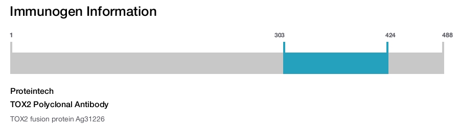 TOX2 Polyclonal Antibody