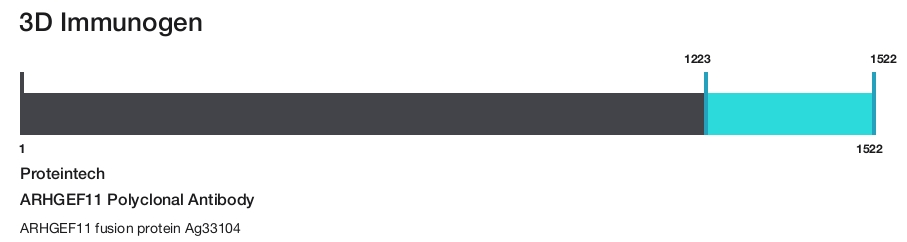 ARHGEF11 Polyclonal Antibody