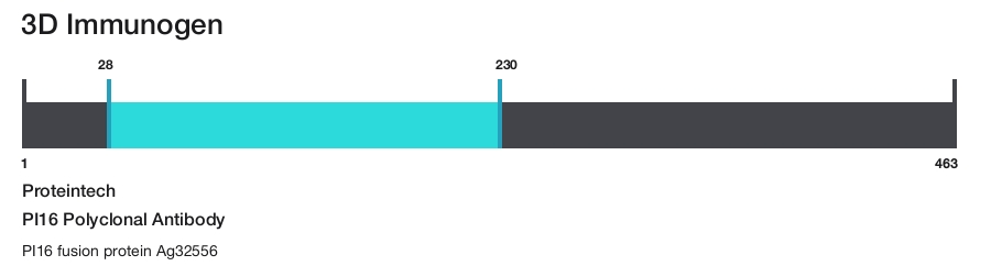 PI16 Polyclonal Antibody