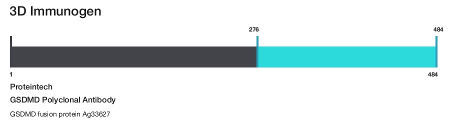 GSDMD Polyclonal Antibody