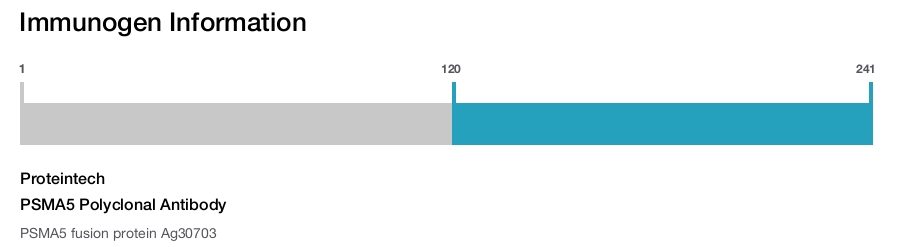 PSMA5 Polyclonal Antibody