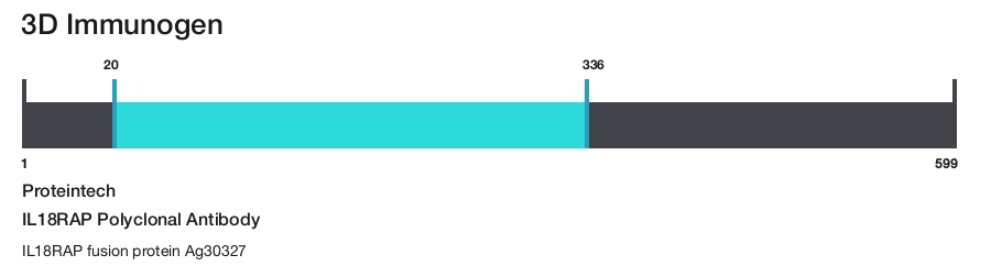 IL18RAP Polyclonal Antibody