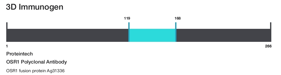 OSR1 Polyclonal Antibody