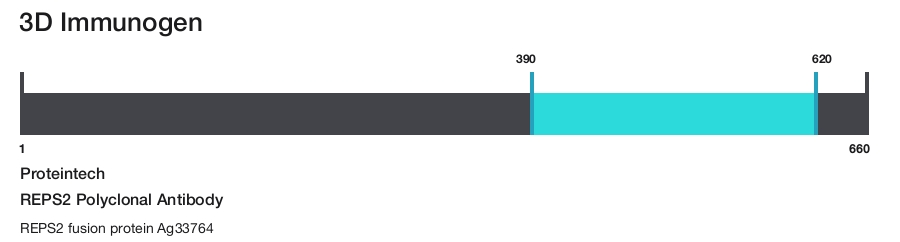 REPS2 Polyclonal Antibody