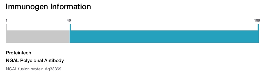 NGAL Polyclonal Antibody