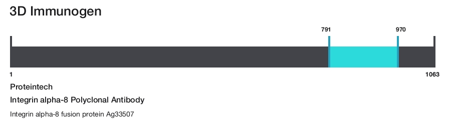 Integrin alpha-8 Polyclonal Antibody