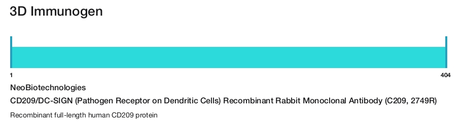 CD209/DC-SIGN (Pathogen Receptor on Dendritic Cells) Recombinant Rabbit Monoclonal Antibody (C209, 2749R)
