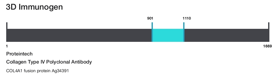 Collagen Type IV Polyclonal Antibody