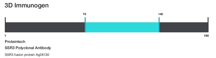 SSR3 Polyclonal Antibody